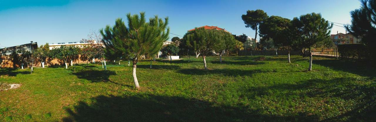 מיתיקאס Villa Moby Dick מראה חיצוני תמונה